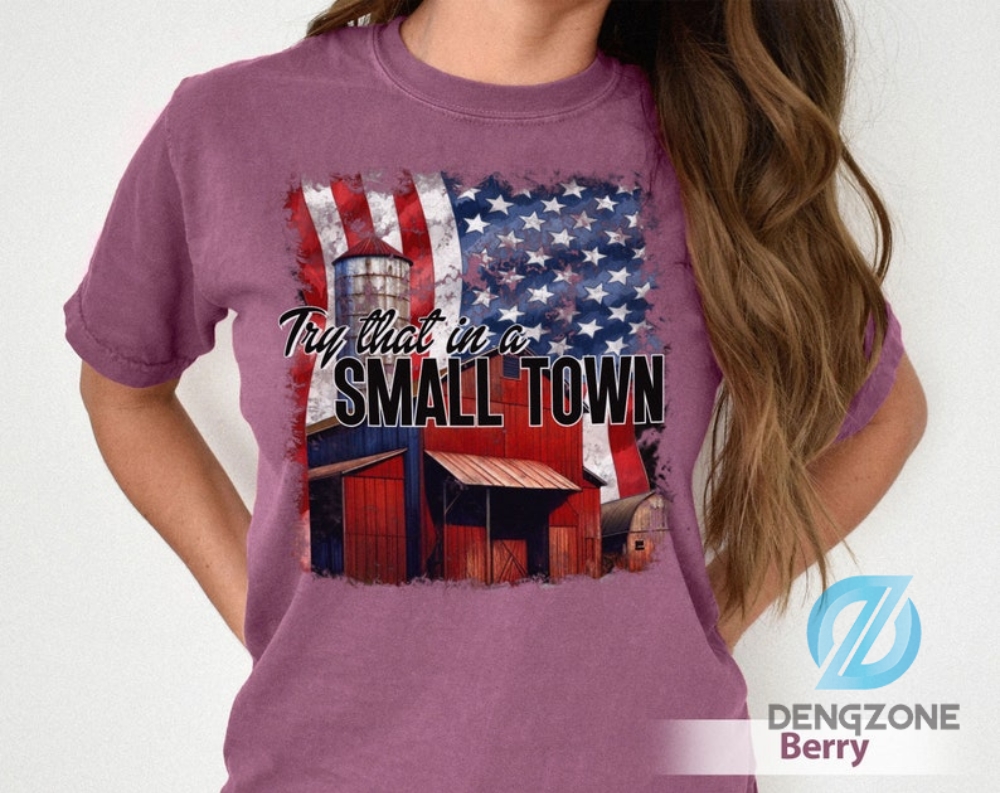 Try That In A Small Town Comfort Colors Shirt Jason Aldean Shirt The Aldean Team Shirt Country Music Shirt American Flag Shirt